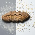 Ciberseguridad Básica