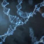 Expertos advierten sobre riesgos del cortisol elevado.