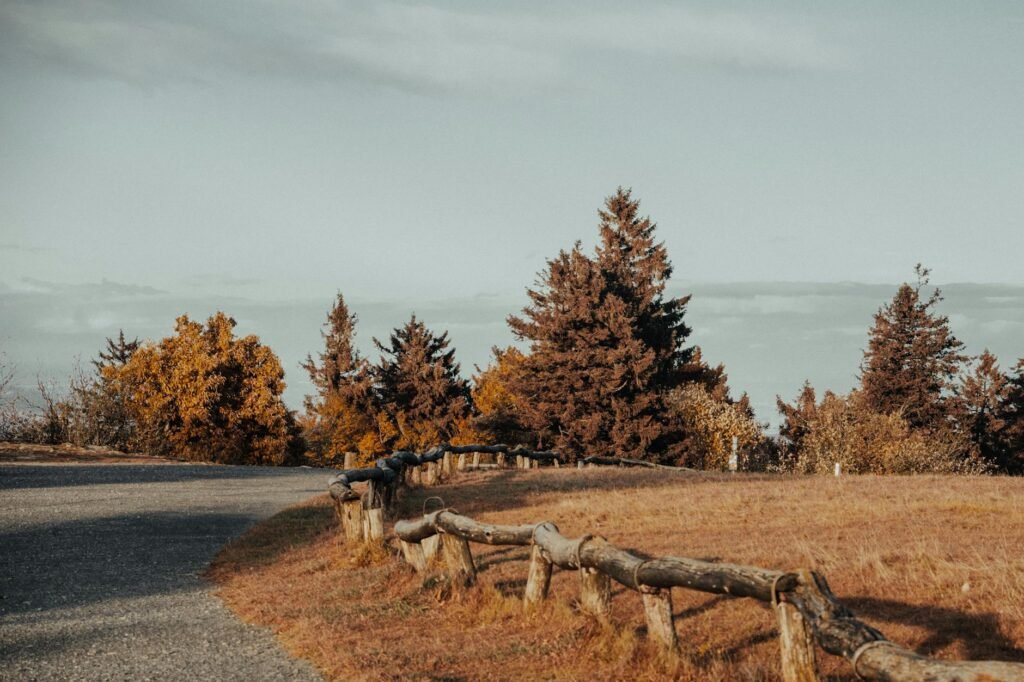 EEUU recauda más de 600.000 millones en aranceles