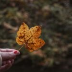 El testamento de el uno para el otro no evita sorpresas en la herencia