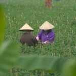 El fútbol nacional supera a la Premier en audiencia en España