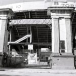 Cómo cultivar cebollas en maceta y disfrutarlas frescas en casa