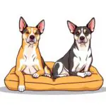 Camas ortopédicas para perros con artrosis mejores opciones de confort y alivio