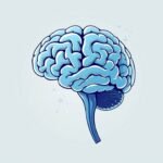 Neuroplasticidad cerebral: el cerebro siempre puede reestructurarse