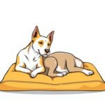 Camas ortopédicas para perros con artrosis alivio y confort en su descanso
