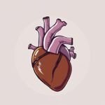 Chocolate caliente duplica la resistencia vascular y protege el corazón