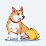 cama ortopédica para perro guía de compra y cuidados