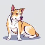 Cama ortopedica para perros adultos