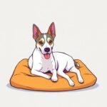 Mejores camas ortopédicas para perros