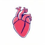 Corazón: diez horas de ejercicio semanal