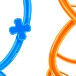 Nuevos fármacos contra cáncer