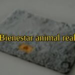 Colchón ortopédico para perro, sobre salud canina: Bienestar animal real