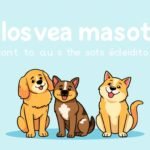 Disuelve pelos mascotas con estos trucos y productos de limpieza efectivos