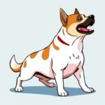 Cómo ver la constelación del perro tras su final