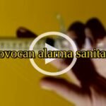 Rellenos zombi, sobre fiebre Ozempic: Provocan alarma sanitaria