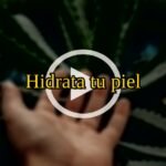 Hielo de aloe vera, sobre el rostro: Hidrata tu piel