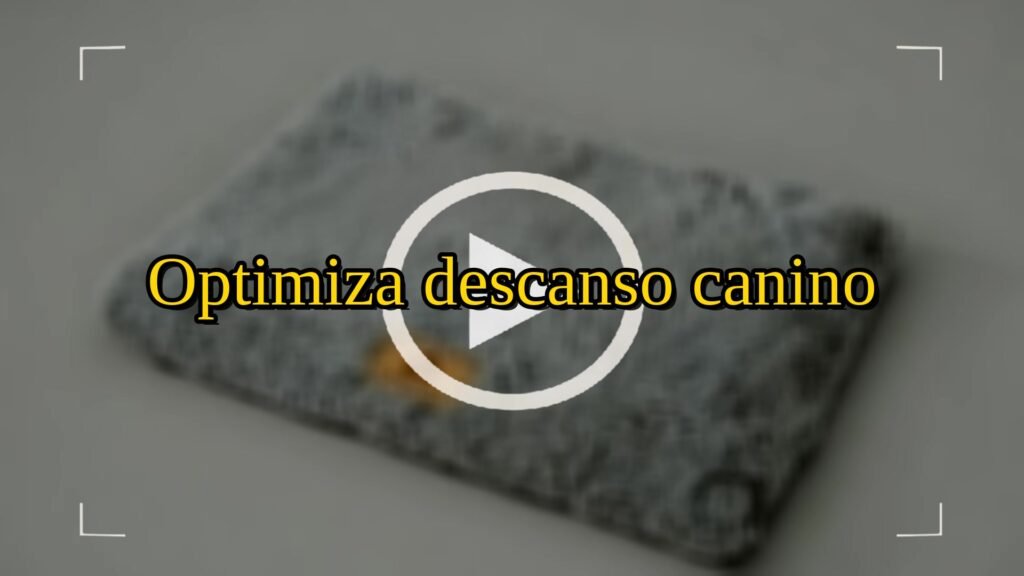 Cama perros ortopédica veterinaria: Optimiza descanso canino