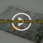 Cama perros ortopédica veterinaria: Optimiza descanso canino