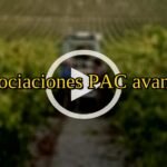 Consejo de la UE acuerdo parcial: negociaciones PAC avanzan